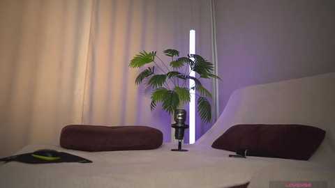 1orgasm1 @ bongacams on 20251130