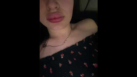 babyymommyanddadyy @ bongacams on 20251201