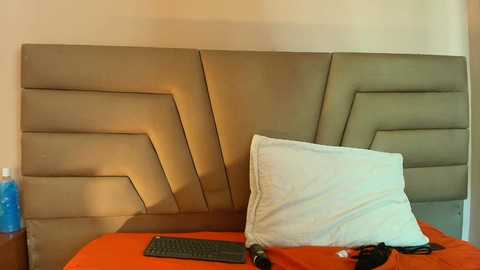 crimsonsecretts @ bongacams on 20251201