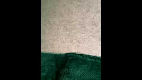 _summer_ @ bongacams on 20251202