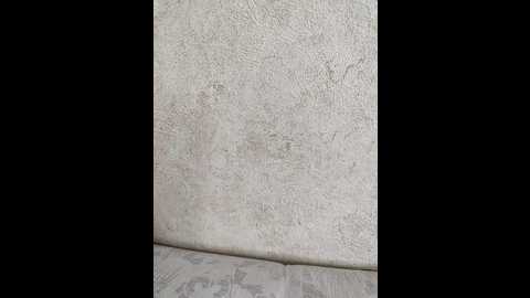 angelia22 @ bongacams on 20251203