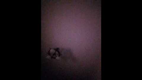 laef1881 @ bongacams on 20251203