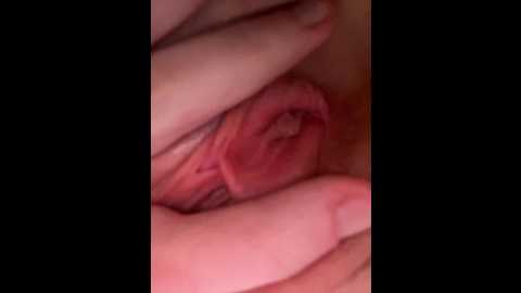 marsandvenera @ bongacams on 20251203