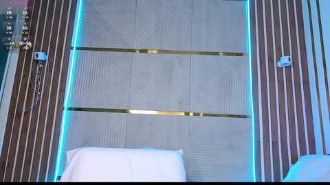 _dirty_bitch @ bongacams on 20251204