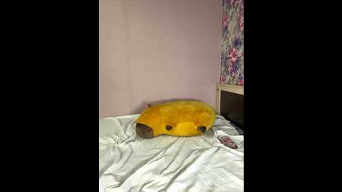 keliveasa @ bongacams on 20251204