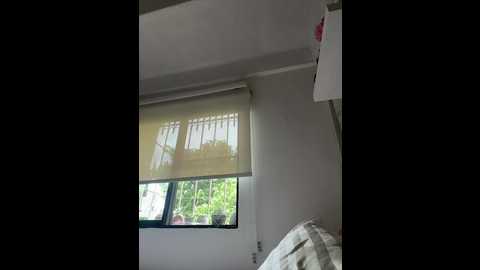 sallyeleins @ bongacams on 20251204