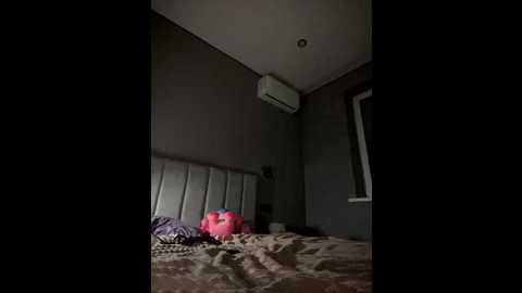 vikaandmilana @ bongacams on 20251204