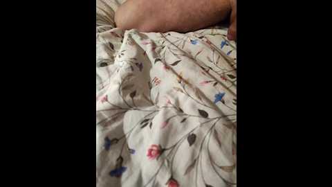 purpur33 @ bongacams on 20251205