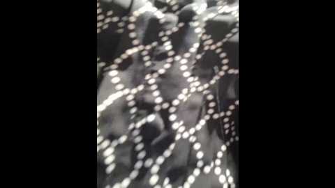 divora @ bongacams on 20251206