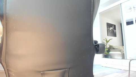 ivybelle @ bongacams on 20251206