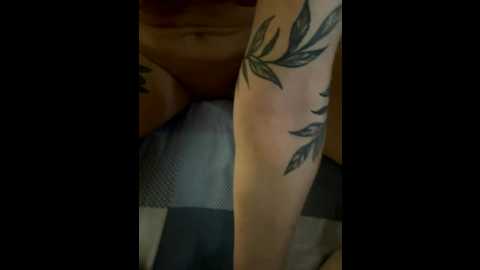 riga_5 @ bongacams on 20251206