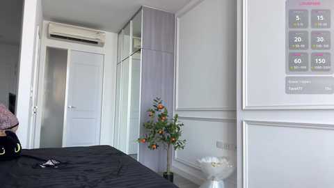 travel_couple @ bongacams on 20251206