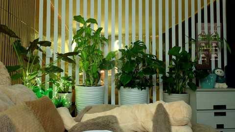 mialiahot @ bongacams on 20251207