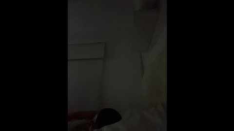 sallyeleins @ bongacams on 20251207