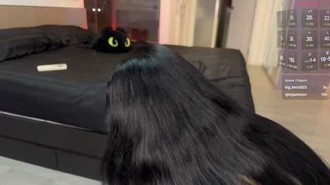 travel_couple @ bongacams on 20251207