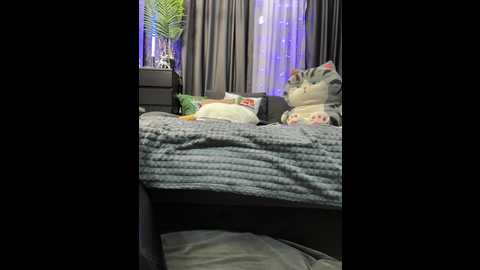 vero19nika @ bongacams on 20251207