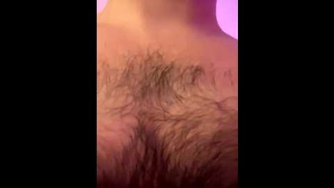 honeycouple @ bongacams on 20251209