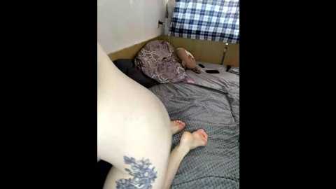 alissalexx @ bongacams on 20251210