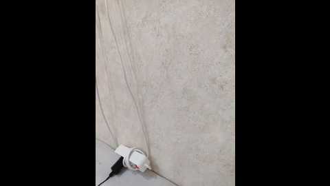 angelia22 @ bongacams on 20251210