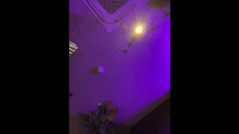 olivkavif @ bongacams on 20251210