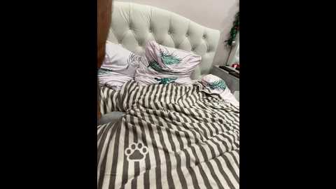 paratrax @ bongacams on 20251210