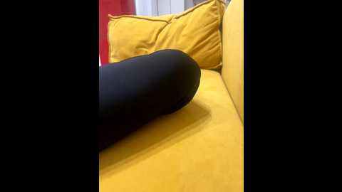 davit1 @ bongacams on 20251211