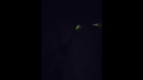 kissmabont @ bongacams on 20251211