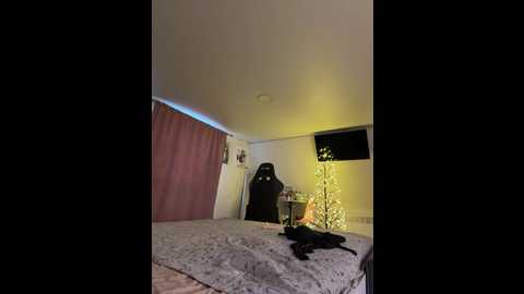 _maybebaby_ @ bongacams on 20251212