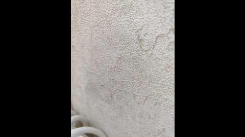 angelia22 @ bongacams on 20251212