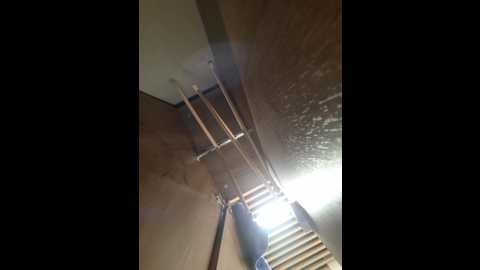 divora @ bongacams on 20251212