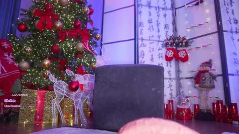 marry_cordy @ bongacams on 20251212