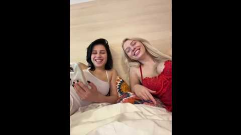 vibromashulkadashulka