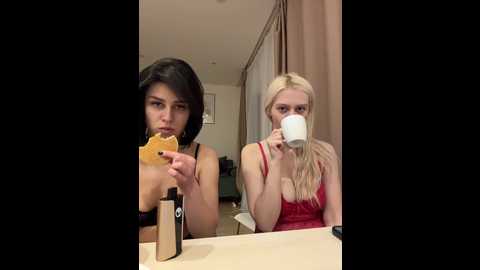 vibromashulkadashulka