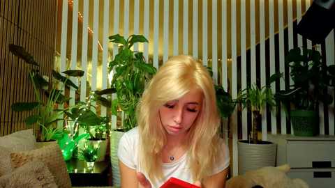 mialiahot @ bongacams on 20251213