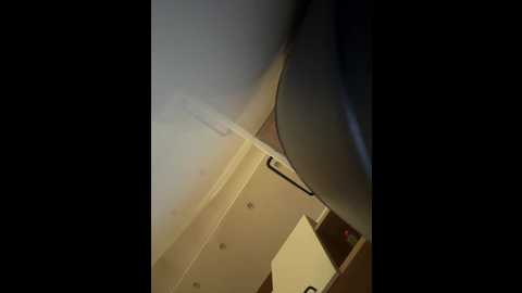 tvoyasamka77 @ bongacams on 20251213