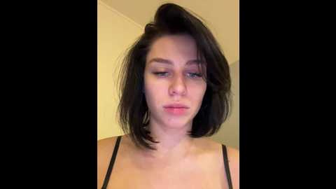 vibromashulkadashulka