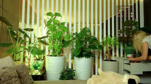 mialiahot @ bongacams on 20251214