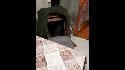 deniskaty @ bongacams on 20251216