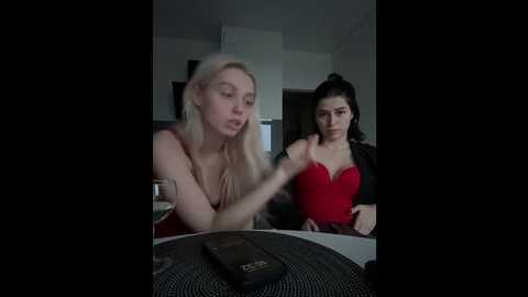 vibromashulkadashulka