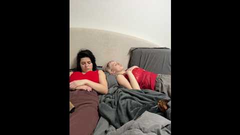 vibromashulkadashulka