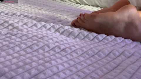 koketka @ bongacams on 20251220