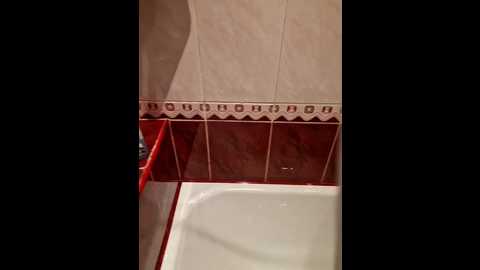 para222a @ bongacams on 20251223