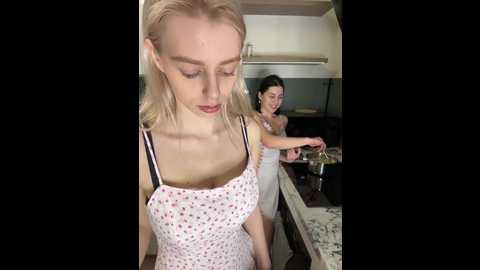 vibromashulkadashulka