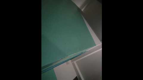 annanas @ bongacams on 20251224