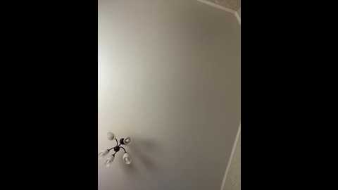 hellmor @ bongacams on 20251226