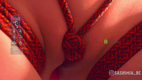 sashimia @ bongacams on 20251226