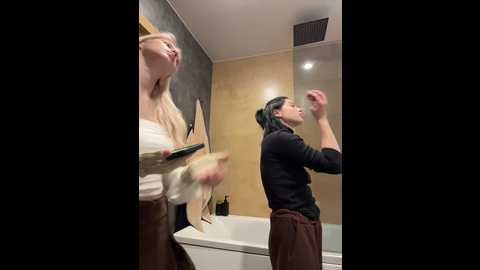 vibromashulkadashulka