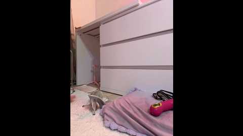 alise8881 @ bongacams on 20251228