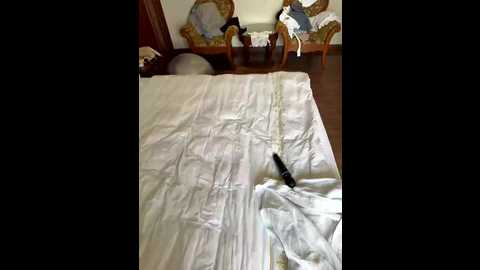 lean_lie @ bongacams on 20251230