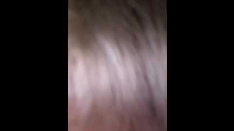 venera1 @ bongacams on 20251231